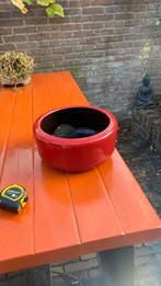 Grote bloempot, Tuin en Terras, Bloempotten, 25 tot 40 cm, Rond, Ophalen of Verzenden, Zo goed als nieuw