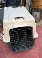 Honden transportbox XXL tot 45kg, Dieren en Toebehoren, Ophalen, Gebruikt