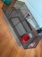 hamster kooi., Kooi, Minder dan 75 cm, Zo goed als nieuw, Hamster