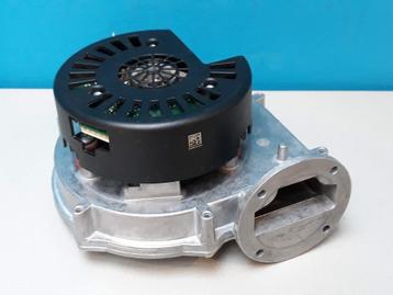 Ventilator Remeha Avanta CW6 RG130/0800-3612-031111 beschikbaar voor biedingen