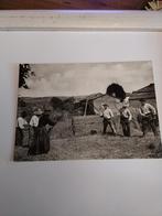 DORSSEN MET EEN DORSVLEGEL. 1901, Ophalen of Verzenden, Voor 1920, Overige thema's