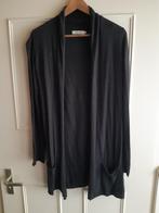 Mooi Cotton Club vest, grijs, als maat M, Kleding | Dames, Truien en Vesten, Maat 38/40 (M), Verzenden, Zo goed als nieuw, Cotton Club