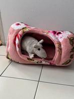 Bunker,mandje voor cavia,fret,konijn,kitten, Ophalen of Verzenden, Transportkoffer of -box