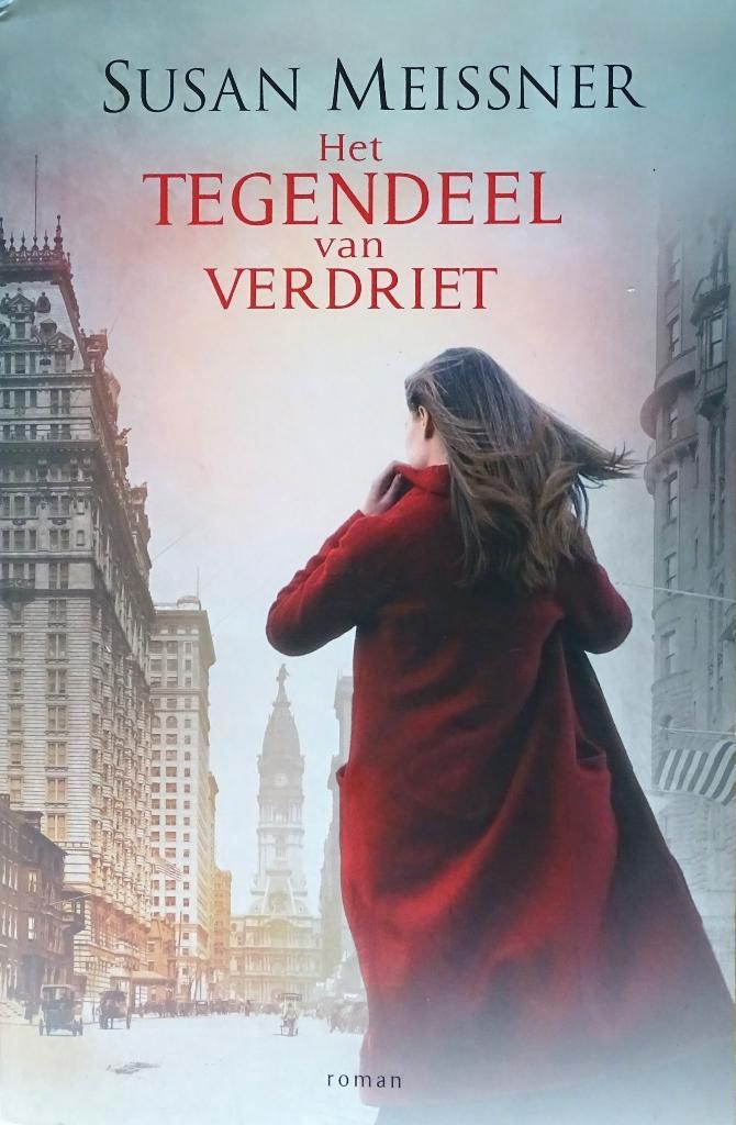 HET TEGENDEEL VAN VERDRIET door SUSAN MEISSNER, Boeken, Romans, Nieuw, Amerika, Ophalen of Verzenden