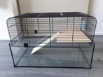 Kooi met glas en tralies, Kooi, Minder dan 75 cm, Zo goed als nieuw, Hamster