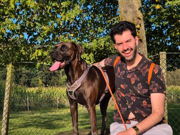 Rustig en ervaren huis gezocht voor onze Vizsla kruising  beschikbaar voor biedingen