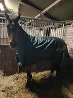 Imperial riding deken 100 gr maat 185, Dieren en Toebehoren, Ophalen of Verzenden, Nieuw, Deken