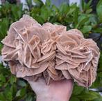 Topkwaliteit Woestijnroos 2kg cluster Zandroos desert rose, Verzamelen, Mineralen en Fossielen, Ophalen of Verzenden