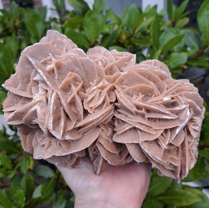 Topkwaliteit Woestijnroos 2kg cluster Zandroos desert rose, Verzamelen, Mineralen en Fossielen, Ophalen of Verzenden