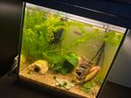 Aquarium met toebehoren gratis Emmeloord, Dieren en Toebehoren, Ophalen, Zo goed als nieuw, Leeg aquarium