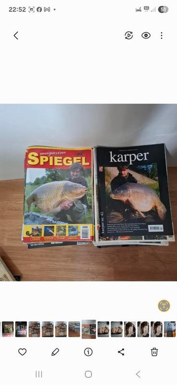 te koop +- 100. karper bladen (de karper en spiegel beschikbaar voor biedingen