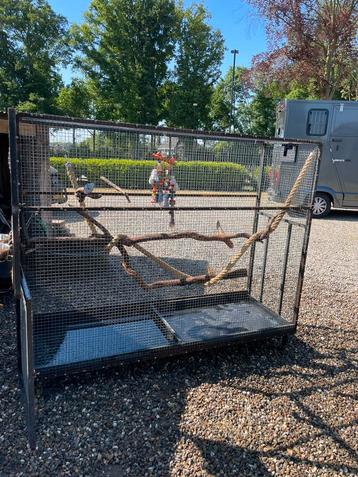Mooie grote vogelkooi papegaai papegaaienkooi  beschikbaar voor biedingen