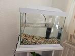 Aquarium met Aquariumtafel, Ophalen, Zo goed als nieuw