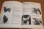 Hondeziekten [1976] — Herkenning & Behandeling — Veel Foto', Boeken, Ophalen of Verzenden, Gelezen, Honden