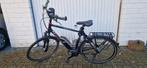 Ebike pegasus, Ophalen, Zo goed als nieuw, 50 km per accu of meer, Overige merken