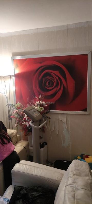 Een prachtige rozenschilderij  beschikbaar voor biedingen
