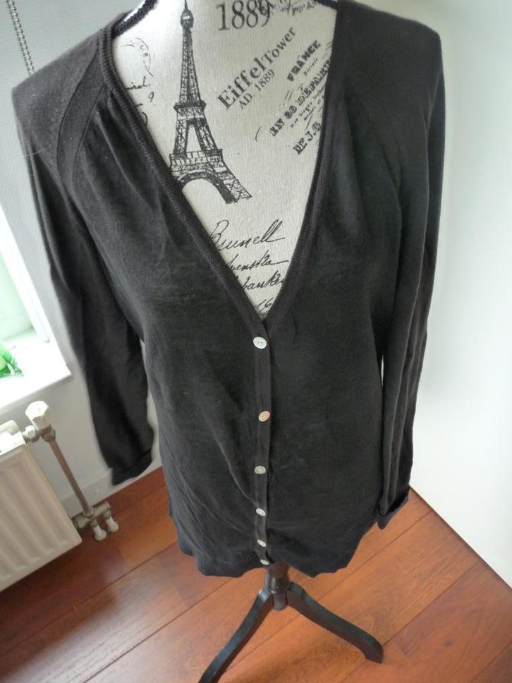 Mooi zwart linnen vest van Pure, maat XL., Kleding | Dames, Truien en Vesten, Zo goed als nieuw, Maat 46/48 (XL) of groter, Zwart