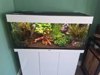 Juwel Rio 180 + onderkast en toebehoren, Ophalen, Zo goed als nieuw, Gevuld zoetwateraquarium