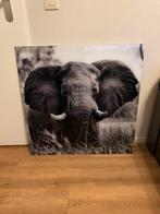 Countryfield schilderij/foto op glas 80x80, Huis en Inrichting, Woonaccessoires | Schilderijen, Tekeningen en Foto's, Ophalen
