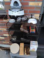 Hok voor kleine knaagdieren, Dieren en Toebehoren, Gebruikt, Minder dan 75 cm, Hok, Ophalen