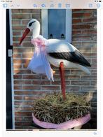 Ooievaar met baby(‘s) en nest TE KOOP (50,00 euro), Ophalen, Gebruikt