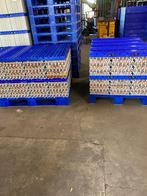 Eieren, Dieren en Toebehoren, Dierenvoeding, Ophalen of Verzenden