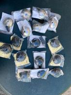 Doos met 10 zwarte en 6 rvs deurstoppers, Ophalen of Verzenden, Nieuw
