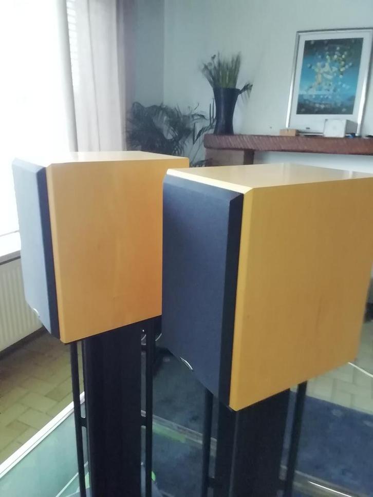 Te Koop Von Schweikert VR 1., Audio, Tv en Foto, Luidsprekers, Zo goed als nieuw, Front, Rear of Stereo speakers, 120 watt of meer