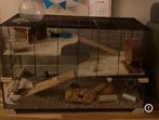 Hamsterkooi met toebehoren, Dieren en Toebehoren, Ophalen, Kooi, Gebruikt, 60 tot 90 cm