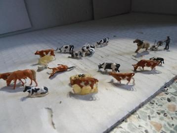 Diverse Vee dieren zoals koeien voor N spoor beschikbaar voor biedingen