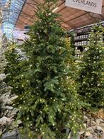 Everlands Gradis Fir 270 kerstboom NIEUW, Ophalen, Volle zon, Overige soorten