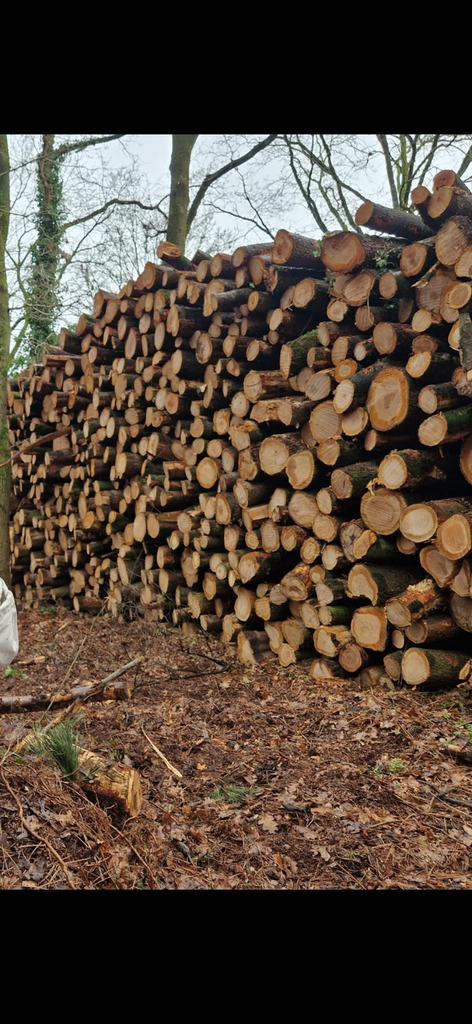 Vracht kersenhout, diameter max. 35/40 cm. 235 cm lang, Tuin en Terras, Haardhout, 6 m³ of meer, Ophalen of Verzenden, Stammen