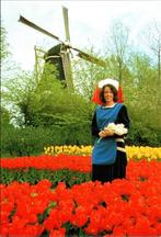 Keukenhof Lisse - 12 ansichtkaarten, Verzamelen, Ansichtkaarten | Nederland, Verzenden, 1960 tot 1980, Ongelopen, Zuid-Holland