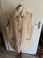 Bodywarmer maat 50 dames, Kleding | Dames, Bodywarmers, Verzenden, Zo goed als nieuw