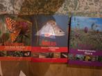 Atlas Noord-Hollandse Vlinders, Vissen en Flora, Ophalen of Verzenden, Zo goed als nieuw, Diverse