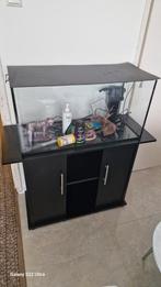 Aquarium met onderkast, Ophalen, Zo goed als nieuw, Leeg aquarium