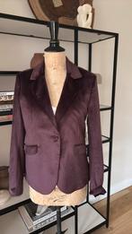 ELIAS RUMELIS velour blazer diep purple nieuw Small, Paars, Nieuw, Ophalen of Verzenden, Jasje