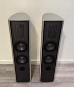 Piega C3 LTD - Luidsprekers, Overige merken, Gebruikt, Ophalen of Verzenden, 60 tot 120 watt