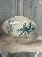 Parkieten schaal SCM 1870 beboterd zeer zeldzaam, Antiek en Kunst, Ophalen of Verzenden