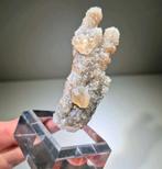 Zeldzame Calciet Stalactieten met goehtiet. Mexico, Ophalen of Verzenden, Mineraal