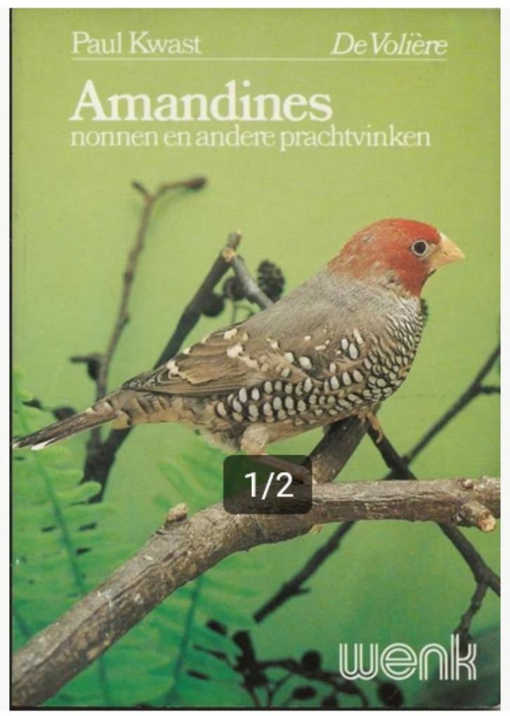 Amandines, nonnen en andere prachtvinken - Paul Kwast, Boeken, Dieren en Huisdieren, Zo goed als nieuw, Vogels, Ophalen of Verzenden