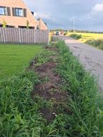 Zwarte grond, gratis ophalen. Circa 8 kuub, Tuin en Terras, Aarde en Mest, Ophalen, Tuinaarde