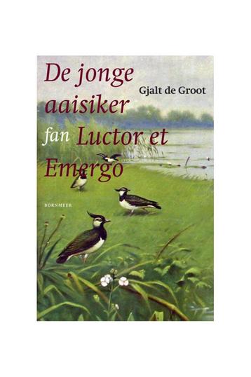 Gjalt de Groot- De jonge aaisiker fan Luctor et Emergo frysk beschikbaar voor biedingen