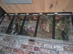 Straat spinnen, Dieren en Toebehoren
