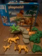 Playmobil vintage, Kinderen en Baby's, Ophalen of Verzenden, Zo goed als nieuw