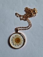 Ketting met gedroogde bloem bloemetje margrietje, Overige materialen, Verstelbaar, Nieuw, Ophalen of Verzenden