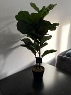 Kunst Ficus Lyrata 100cm in Pot, Huis en Inrichting, Kamerplanten, Ficus, In pot, Minder dan 100 cm, Groene kamerplant