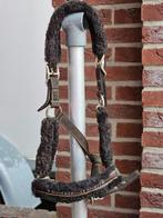 2 halsters maat full, Ophalen of Verzenden, Zo goed als nieuw, Overige soorten
