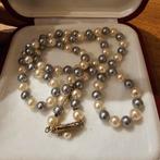 Majorica Parels Ketting, Sieraden, Tassen en Uiterlijk, Overige materialen, Wit, Ophalen of Verzenden, Zo goed als nieuw