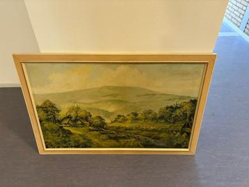 Aziatisch landschap op hout geschilderd € 30,00 beschikbaar voor biedingen